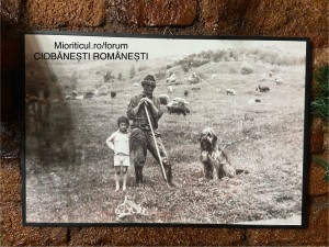 IMG_5073.jpeg
