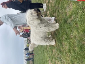 IMG_6303.jpeg