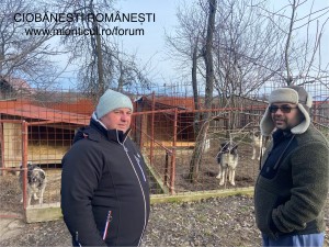 IMG_7304.jpeg