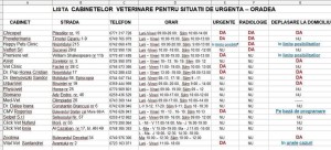 IMG_7486.jpeg