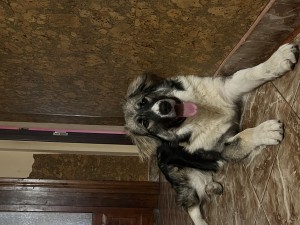 IMG_8499.jpeg