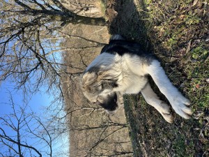IMG_8045.jpeg