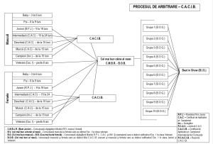 Proces de arbitrare la expozitii internationale de tip CACIB