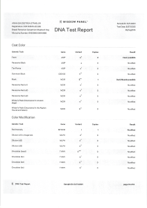 ARINA DIN ZESTREA STÂNELOR - Wisdom Panel - MyDogDna - DNA Test Report