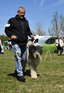 DSC_0402.jpg