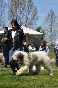 DSC_0444.jpg