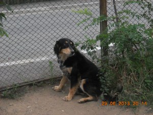 DSCN2718.jpg