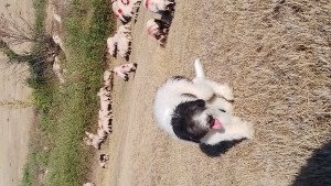 IMG_20260920_102247.jpg