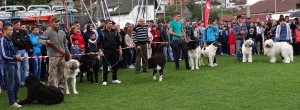 expo pastorala Rucar16.jpg