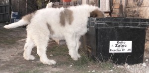 Bem apa fara probleme dintr-o cutie inalta de 40cm